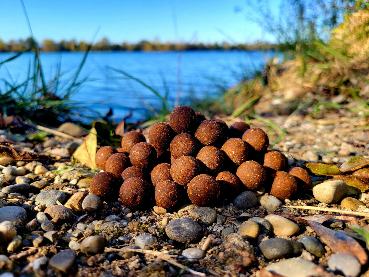 Bouillettes Monster Squid