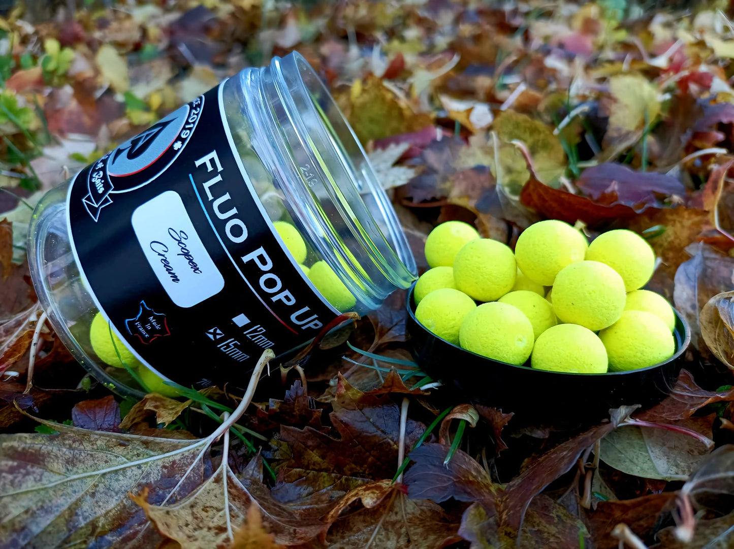 Fluo Pop Up Scopex Cream